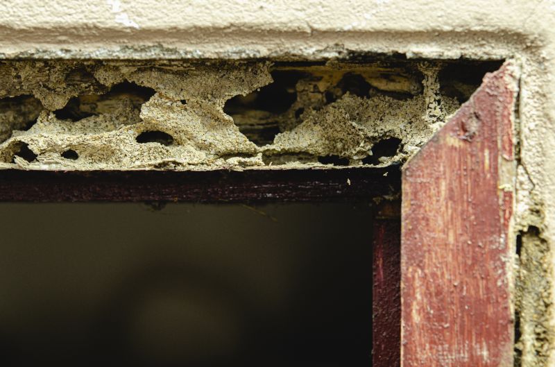 Rotted Door Repair Service