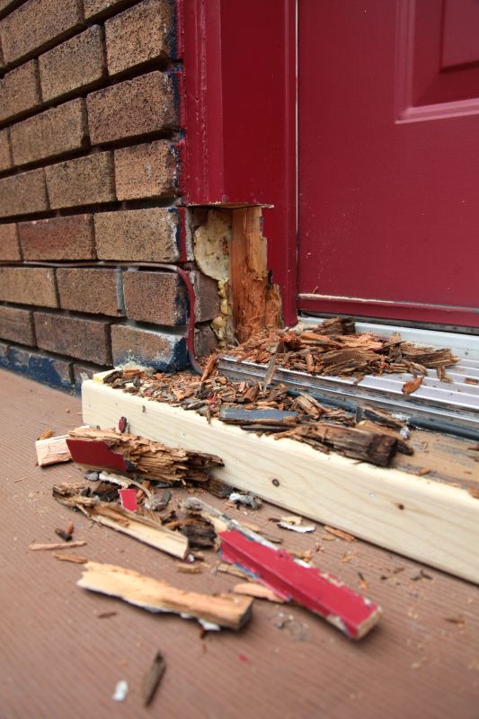 Rotted Door Repair Service detail