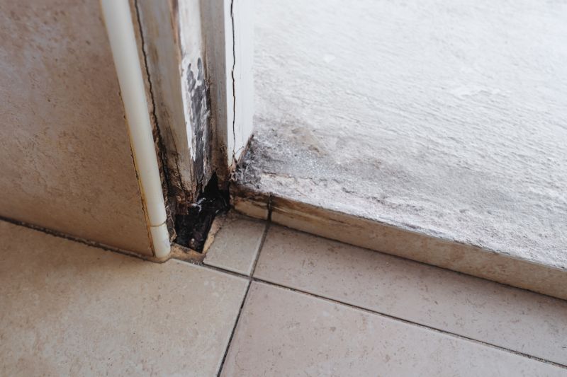 Rotted Door Repair Service